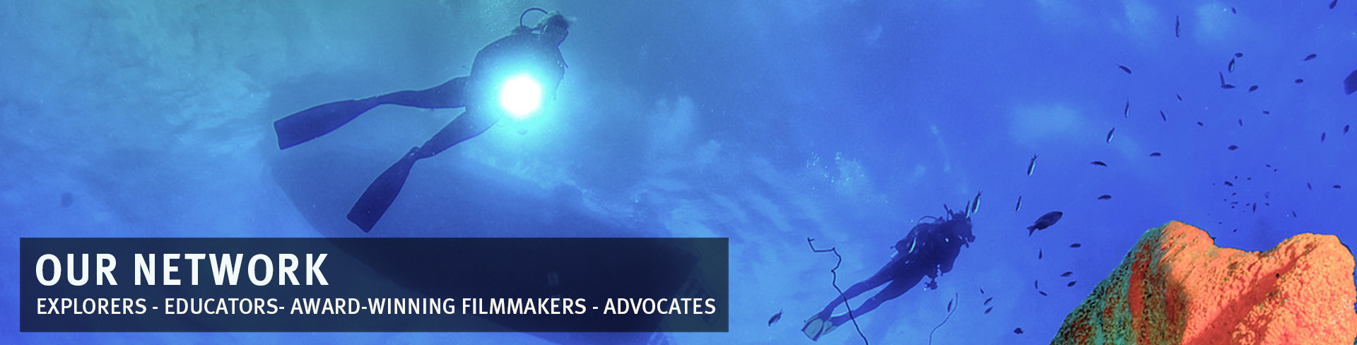 liquid motion ocean foundation - marine foundation - underwater film producer